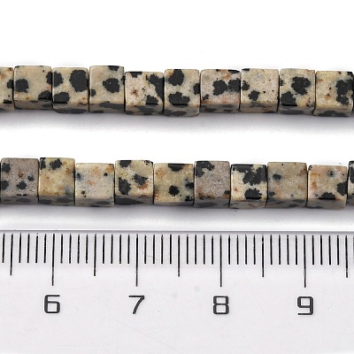 Natural Dalmatian Jasper Beads Strands G-F631-K30-1
