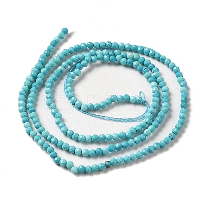 Natural Howlite Beads Strands G-C025-02A-01-1