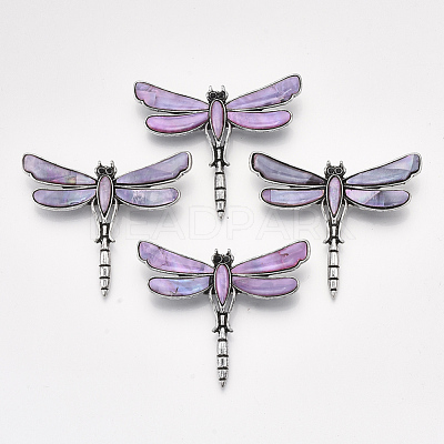 Freshwater Shell Brooches/Pendants SHEL-S275-39F-1