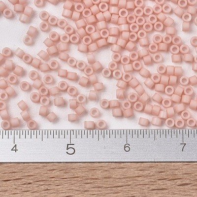 MIYUKI Delica Beads X-SEED-J020-DB1513-1