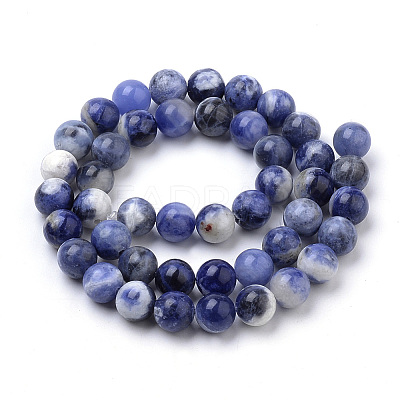 Natural South Africa Sodalite Beads Strands X-G-S259-35-10mm-1