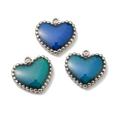 304 Stainless Steel Enamel Charms X-STAS-L022-094P-1