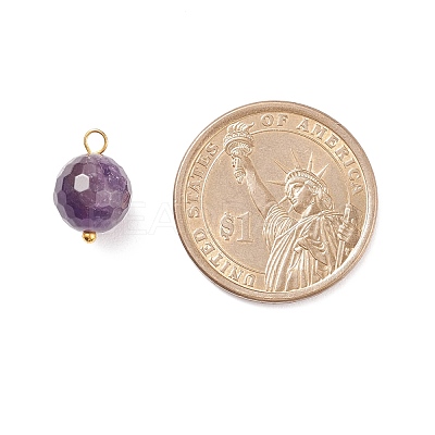 Natural Mixed Stone Charms PALLOY-JF01677-1
