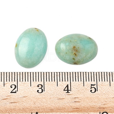 Natural African Turquoise(Jasper) Cabochons X-G-S398-02C-1