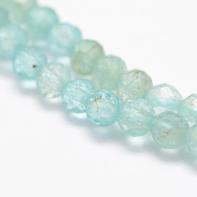Natural Apatite Beads Strands G-F460-41-1