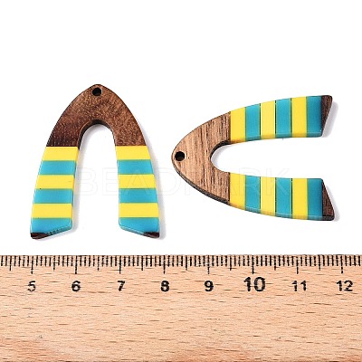 Epoxy Resin & Walnut Wood Pendants RESI-N039-121Q-1