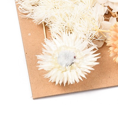 Dried Flower DIY-B018-02-1