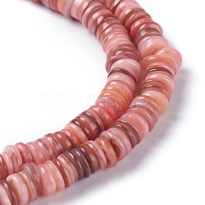 Natural Freshwater Shell Beads Strands X-BSHE-I016-04E-1
