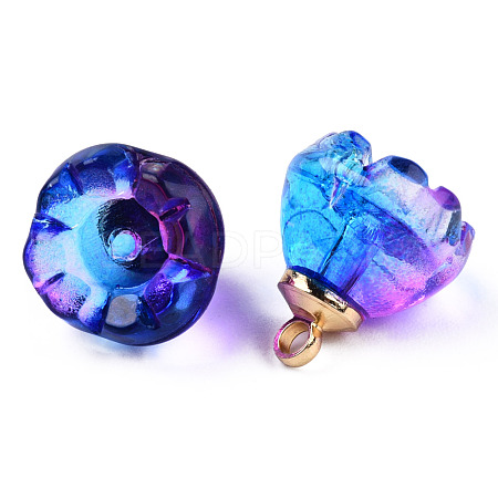 Transparent Spray Painted Glass Charms GLAA-N035-031-G01-1