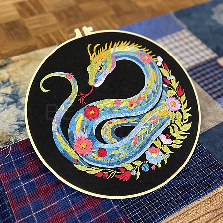 DIY Dragon Pattern Embroidery Kits for Beginners PW-WG0AF0D-06-1