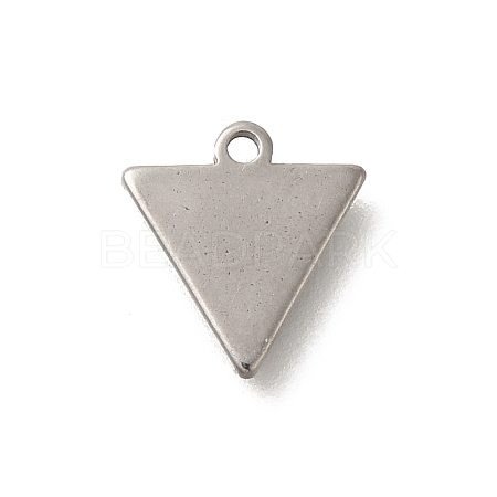 304 Stainless Steel Charms STAS-S144-01P-D-1