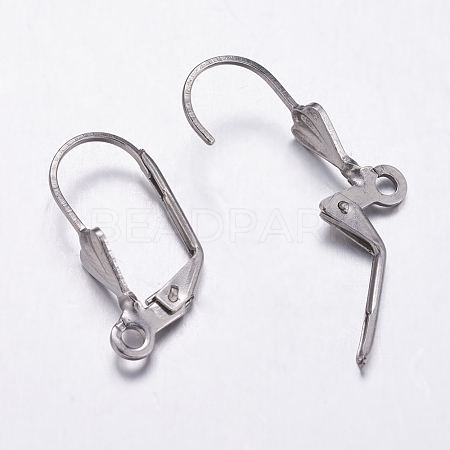 304 Stainless Steel Hoop Earrings X-STAS-K146-037-19.5mm-1