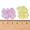 Transparent Resin Pendants RESI-M041-14-3