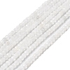 Natural Rainbow Moonstone Beads Strands G-I353-04-5
