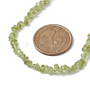Natural Peridot Chip Beaded Necklace NJEW-JN04615-16-3