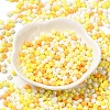 6/0 Opaque Baking Paint Glass Seed Beads SEED-M012-02A-28-2