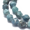 Natural Apatite Beads Strands G-K303-B14-8mm-3