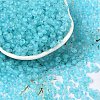 6/0 Luminous Glass Seed Beads X1-SEED-NH0001-01N-2