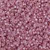 MIYUKI Round Rocailles Beads X-SEED-G009-RR0555-3