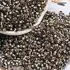Glass Seed Beads X1-SEED-S042-04A-09-1