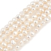 Natural Cultured Freshwater Pearl Beads Strands PEAR-P064-19D-13A-2