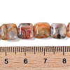 Natural Crazy Lace Agate Beads Strands G-M435-A04-01-5