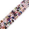 Natural & Synthetic Beads Strands G-K315-B04-1