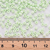 8/0 Opaque Glass Seed Beads X1-SEED-S048-N-009-4