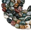 Natural Indian Agate Beads Strands G-K395-B12-02-4