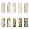 10Pcs 2 Styles Natural Paua Shell Pendants KK-WR0001-71-1