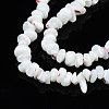 Natural Freshwater Shell Beads Strands SHEL-N003-23-A01-3