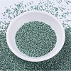 MIYUKI Delica Beads SEED-MY11-DB0416-2