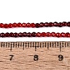 Transparent Glass Beads Strands GLAA-N074-01A-19-5
