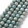 Natural Amazonite Beads Strands G-S333-10mm-005-1