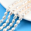 Natural Cultured Freshwater Pearl Beads Strands PEAR-N014-05E-2