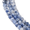 Natural Blue Spot Jasper Beads Strands G-A252-A02-02-4