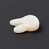 Natural White Shelll Beads BSHE-C003-01C-4