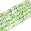 Natural Freshwater Shell Dyed Beads Strands SHEL-T020-29A-03-1