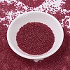 MIYUKI Delica Beads SEED-JP0008-DB0775-1