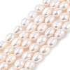 Natural Cultured Freshwater Pearl Beads Strands PEAR-I007-01D-06A-01-2