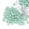 Glass Seed Beads X1-SEED-A011-3mm-154-1