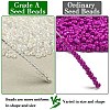 12/0 Grade A Round Glass Seed Beads X-SEED-Q010-F533-2
