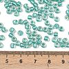 TOHO 6/0 Round Beads SEED-TR06-0264-4