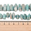Natural Amazonite Beads Strands G-P619-A04-01-5