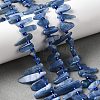 Natural Kyanite Beads Strands G-J403-02-5