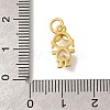 Rack Plating Brass Micro Pave Cubic Zirconia Charms KK-I716-25G-01-3