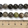 Natural Volcanic Agate Beads Strands G-G305-A01-8mm-5