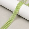 Natural Peridot Beads Strands G-K399-A01-01-2
