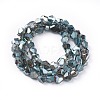 Electroplate Glass Beads Strands EGLA-F144-FR02-B-2