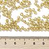 8/0 Glass Seed Beads X-SEED-A017-3mm-1115-3